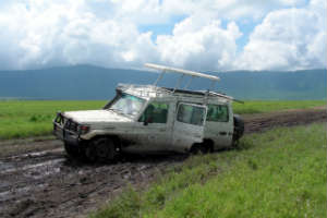 tanzania-safari